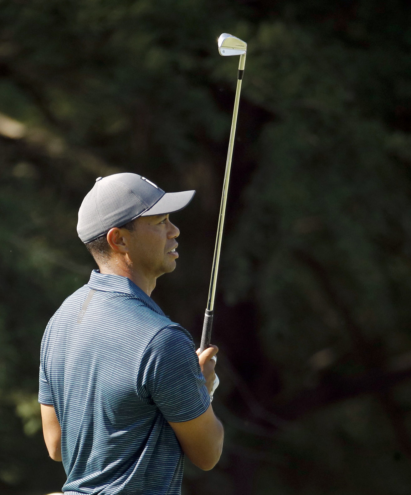PGA Championship Golf